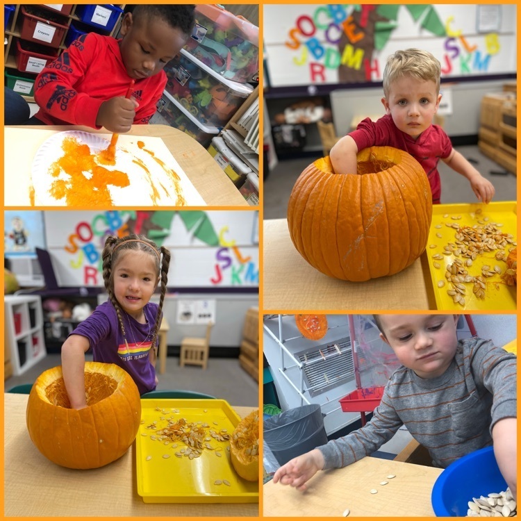 Children in the class discovering pumpkins
