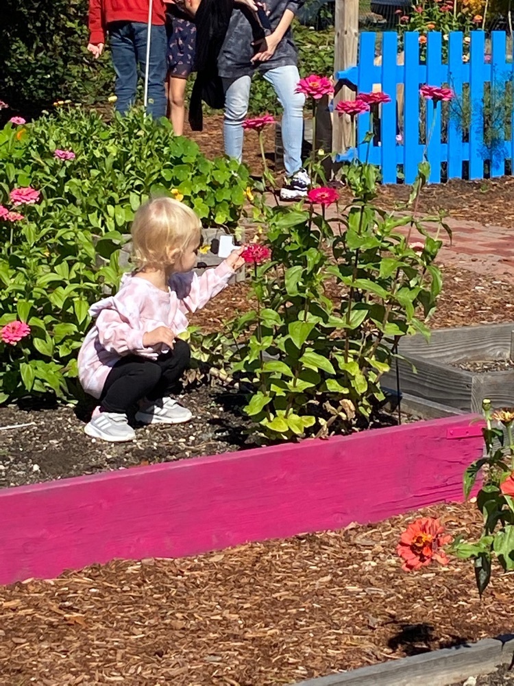 toddler with flower