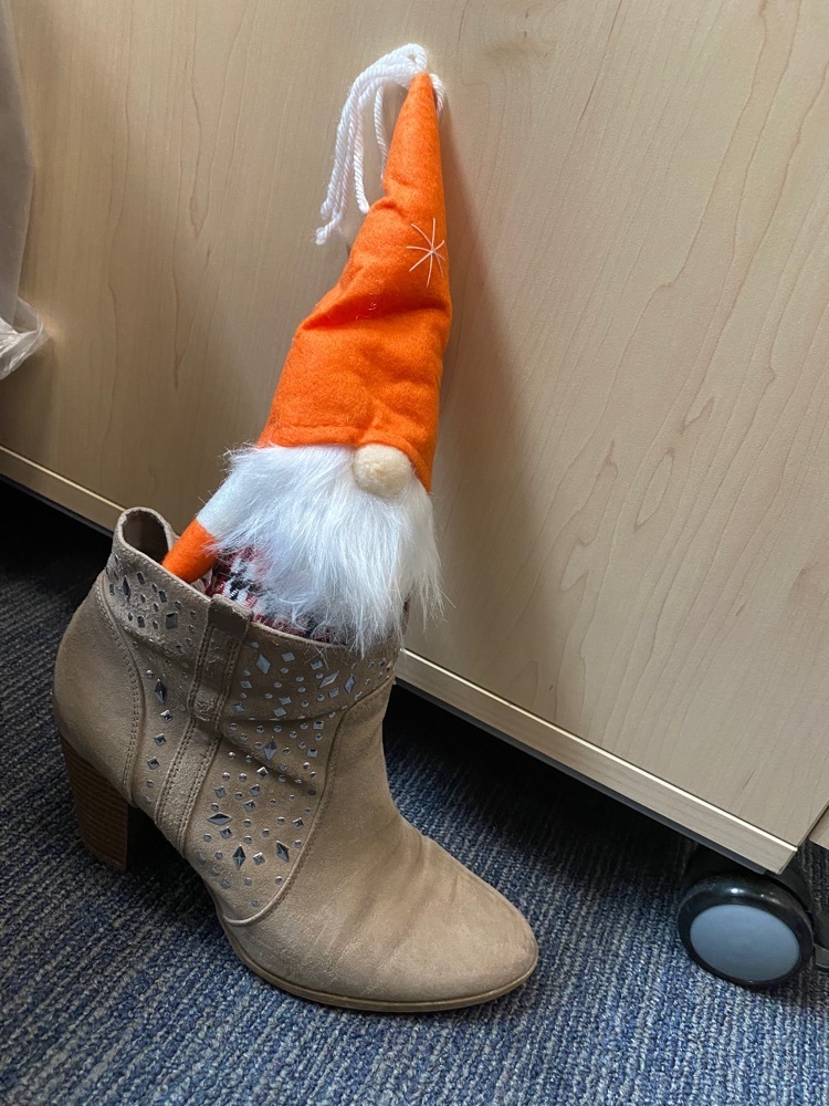 gnome in shoe