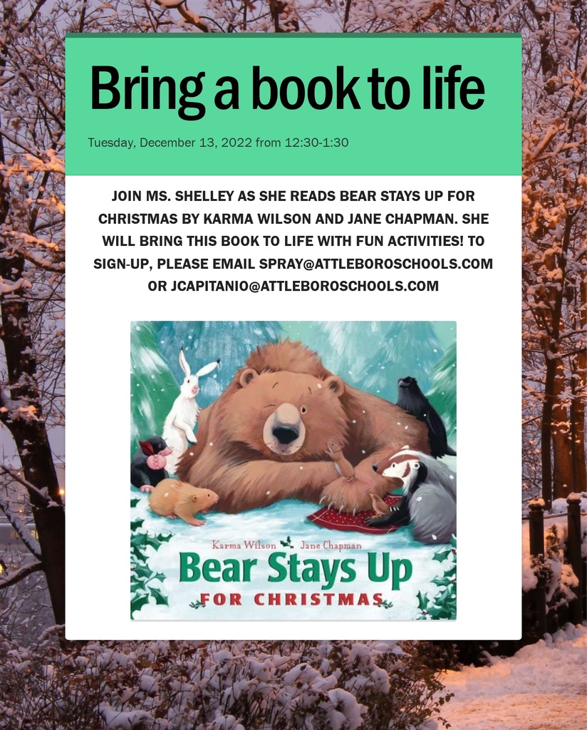 bears stays up for christmas poster
